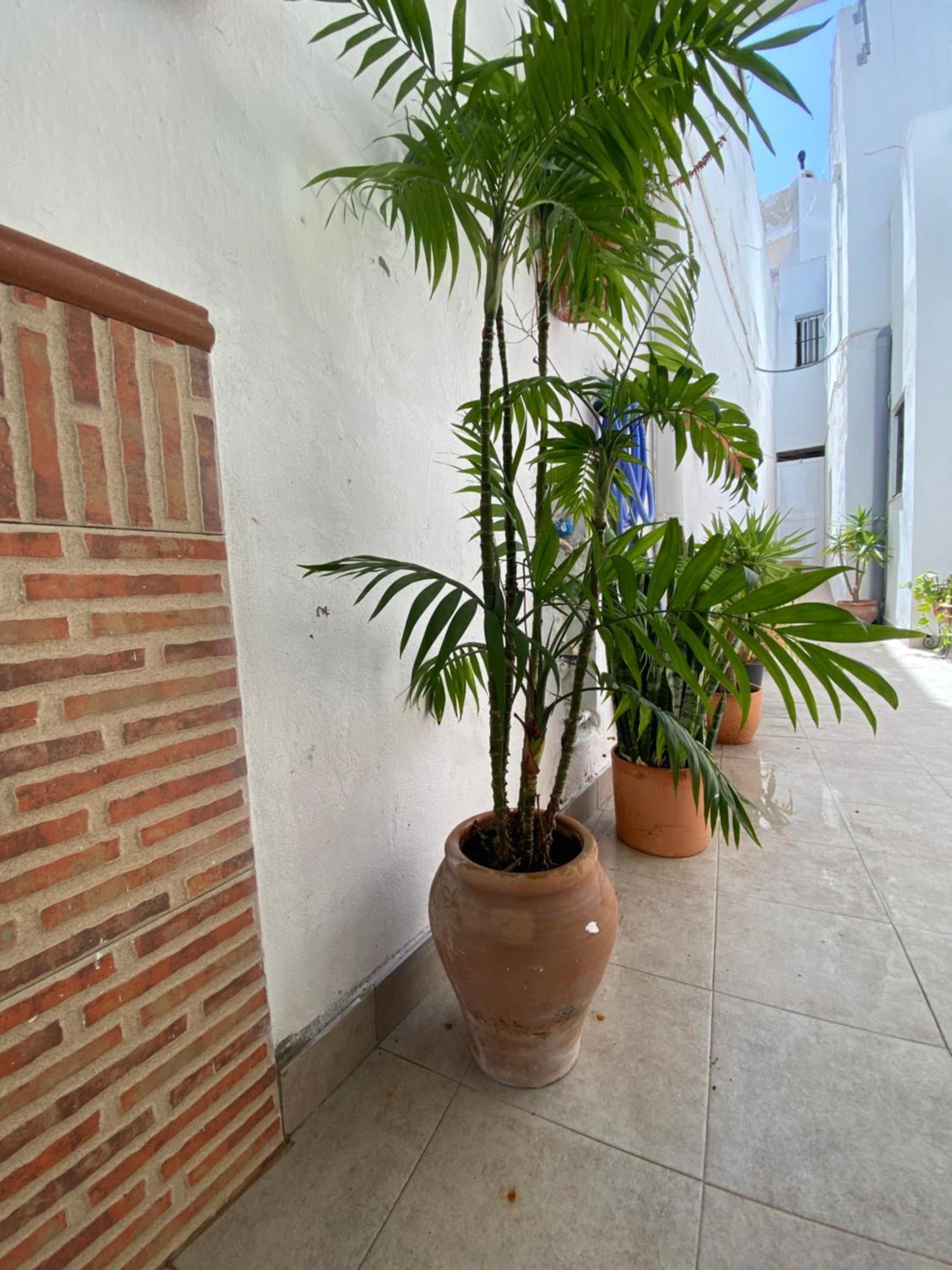 Casa Calle Vejer de la Frontera Ngoại thất bức ảnh